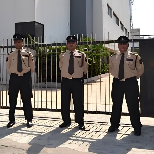 University Security Guard Service